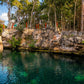Cenotes Casa Tortuga
