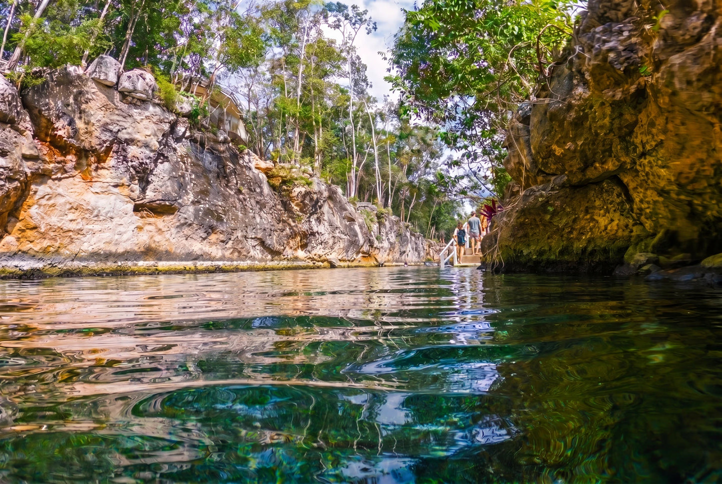 Cenotes Casa Tortuga
