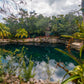 Cenotes Casa Tortuga