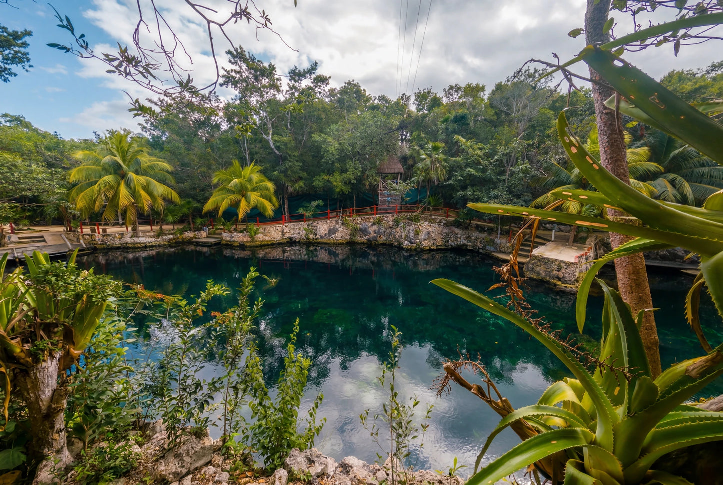 Cenotes Casa Tortuga