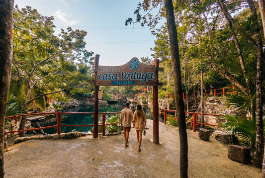 Cenotes Casa Tortuga