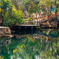 Cenotes Casa Tortuga