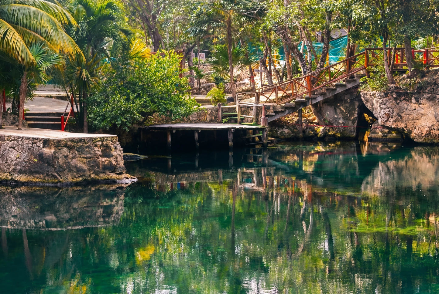 Cenotes Casa Tortuga