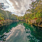 Chichén Itzá Dos Cenotes