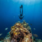 Tour: Cozumel Catamarán, El Cielo & Kuzá Park