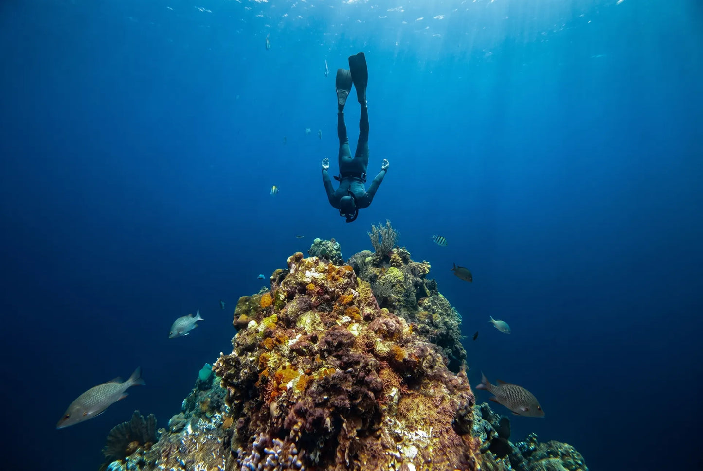 Tour: Cozumel Catamarán, El Cielo & Kuzá Park