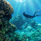 Tour: Cozumel Catamarán, El Cielo & Kuzá Park