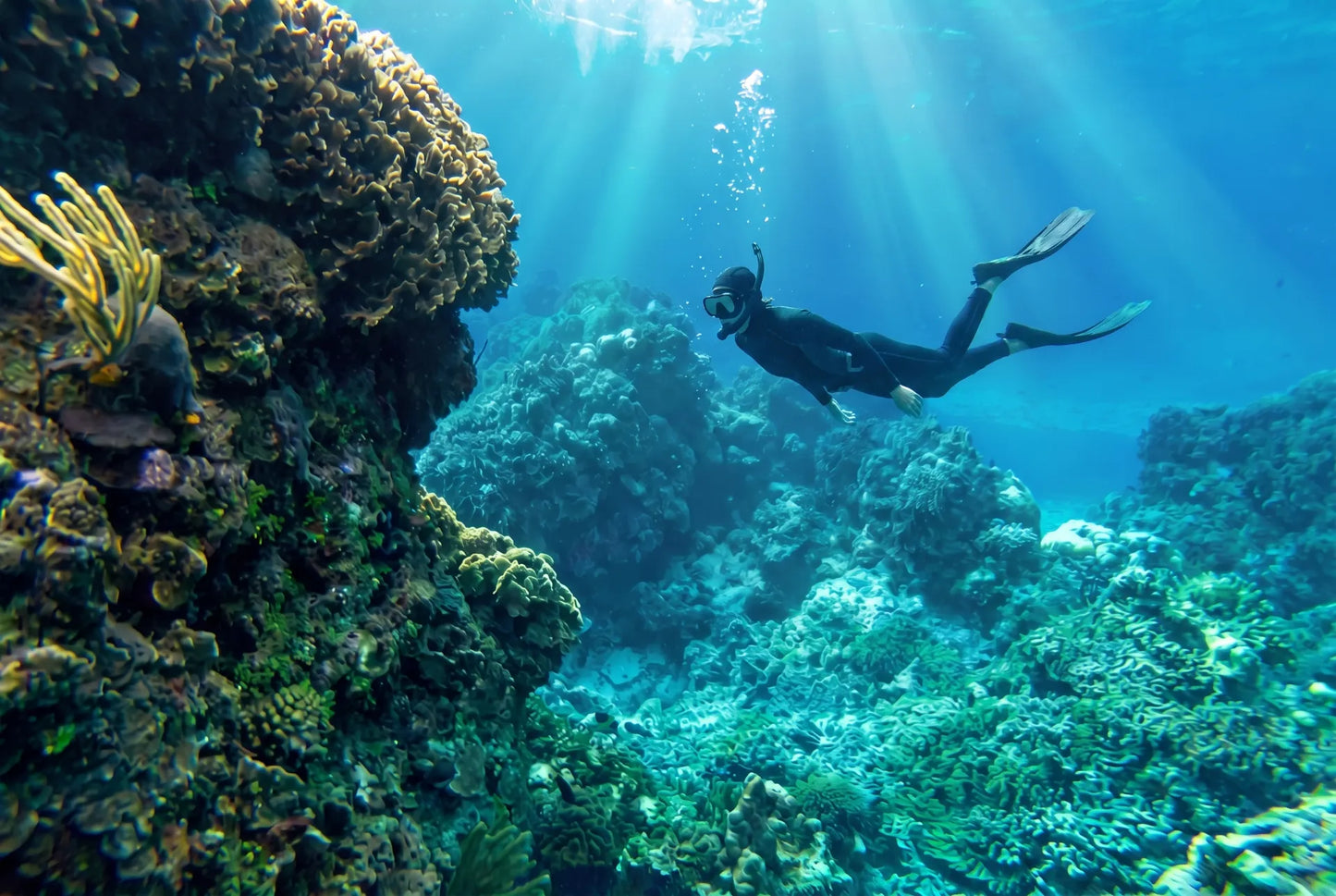 Tour: Cozumel Catamarán, El Cielo & Kuzá Park