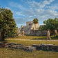 Tour 4x1: Tulum, Cobá, Cenote y Playa del Carmen (5ta Avenida)