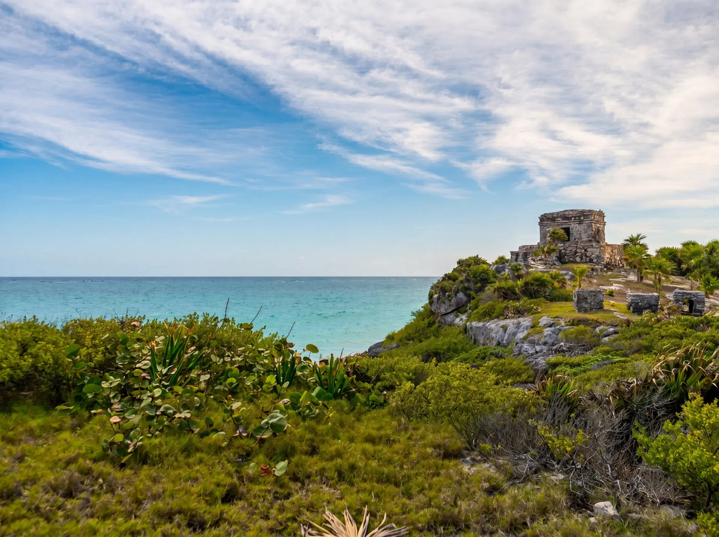 Tour 4x1: Tulum, Cobá, Cenote y Playa del Carmen (5ta Avenida)