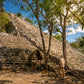 Tour 4x1: Tulum, Cobá, Cenote y Playa del Carmen (5ta Avenida)
