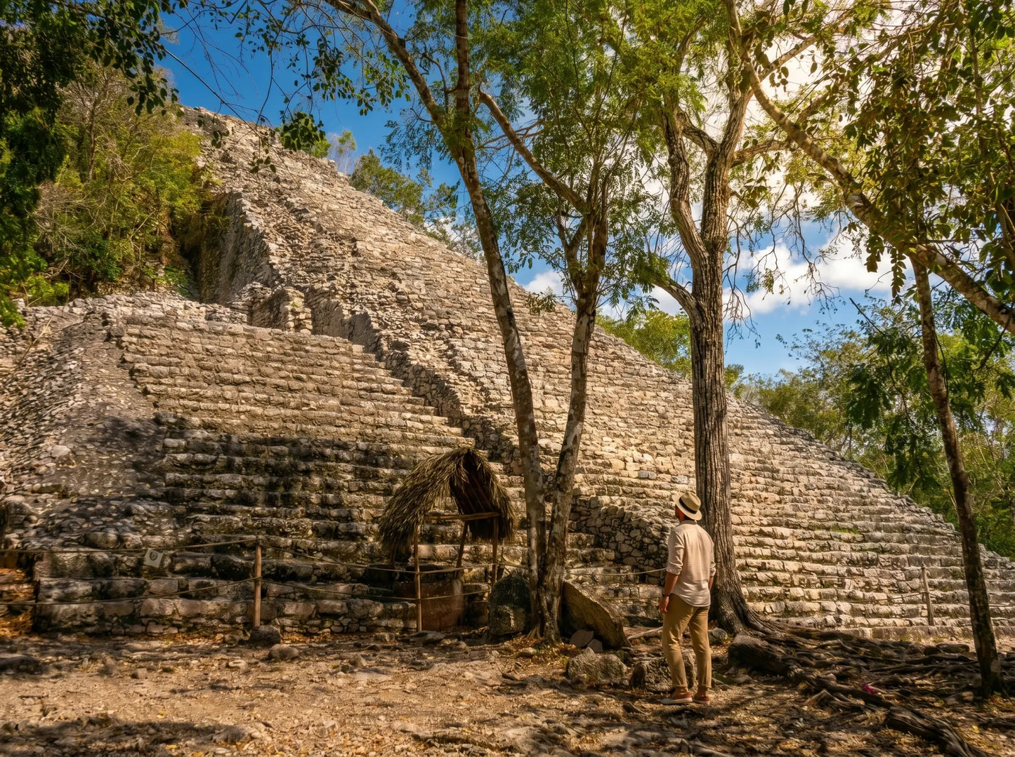 Tour 4x1: Tulum, Cobá, Cenote y Playa del Carmen (5ta Avenida)