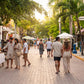 Tour 4x1: Tulum, Cobá, Cenote y Playa del Carmen (5ta Avenida)