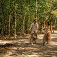 Tulum · Cobá · Cenote